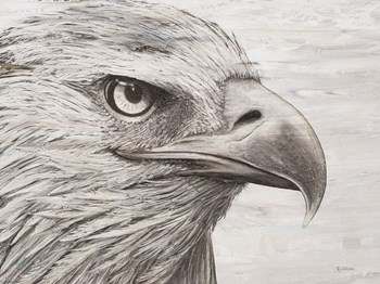 Eagle landscape by Marie-Elaine Cusson art print