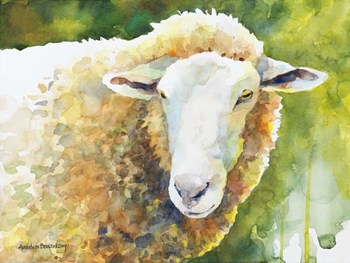 Sheep IV by Annelein Beukenkamp art print