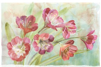 Bowing Clevia by Art Licensing Studio art print