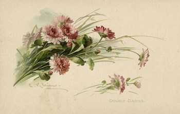 Double Daisies Color by Art Licensing Studio art print