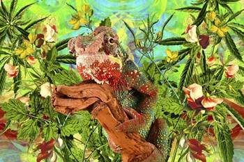 Lizard by Ata Alishahi art print