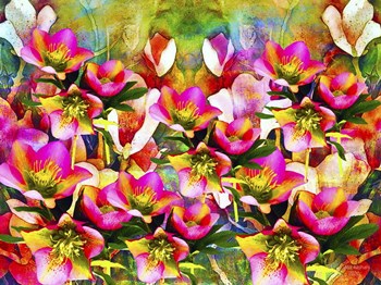 Nature And Colors 2 by Ata Alishahi art print