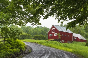 Coming Home by Brenda Petrella Photography LLC art print