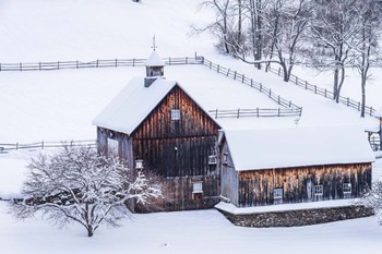 Snow Day on the Farm by Brenda Petrella Photography LLC art print