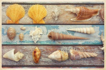 Beach Memories II by Cora Niele art print