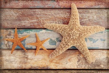 Seaside Memories I by Cora Niele art print