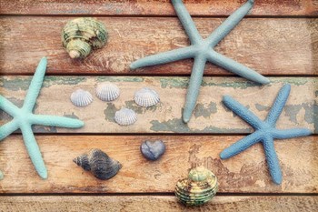 Seaside Memories III by Cora Niele art print