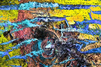 Colorful Bark 11 by Anita Vincze art print