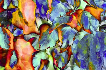 Colorful Foliage 5 by Anita Vincze art print