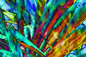 Colorful Foliage 7 by Anita Vincze art print