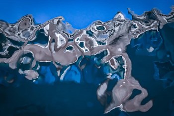 Reflection 5 by Anita Vincze art print