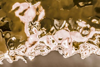 Reflection 6 by Anita Vincze art print