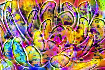 Succulent Dressed in Rainbow Colors 5 by Anita Vincze art print