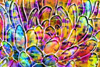 Succulent Dressed in Rainbow Colors 11 by Anita Vincze art print