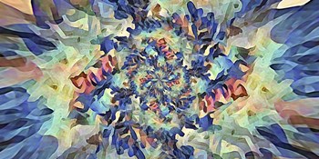 Reverse Floral Radial by David Manlove art print