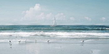Shore Birds and a Sailboat by David Manlove art print