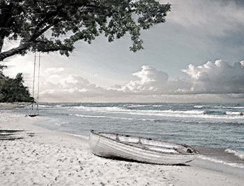 Tree Swing and a Row Boat B by David Manlove art print