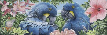 Blue Macaws by Durwood Coffey art print