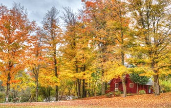 Autumn Cottage by 5fishcreative art print