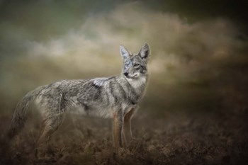 Before The Storm by Jai Johnson art print