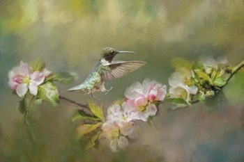 Dance Like Nobodys Watching by Jai Johnson art print