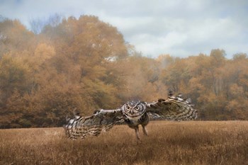 Morning Mouse Hunting by Jai Johnson art print