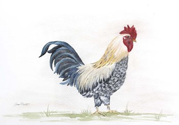 Rooster In Watercolor by Jean Plout art print
