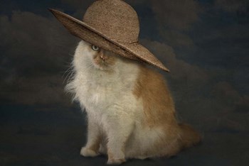 Adore by Lori Hutchison art print