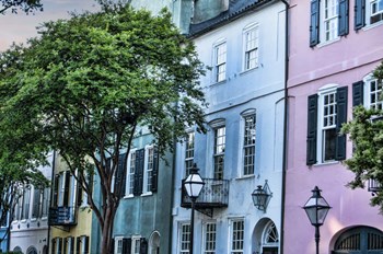 Charleston by Lori Hutchison art print