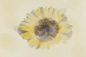 Sunflower 3 by Lori Hutchison art print