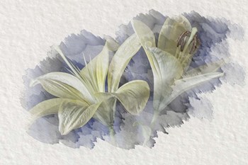 Yellow Lily 2 by Lori Hutchison art print