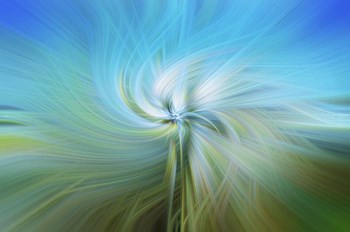 Aqua Twirl by Lori Hutchison art print