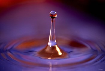 Drop Splash 2 by Gordon Semmens art print