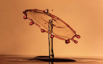 Liquid Splash 2 by Gordon Semmens art print