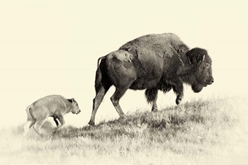 Badlands Antique 6 by Gordon Semmens art print