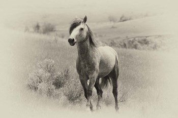 Badlands Antique 15 by Gordon Semmens art print