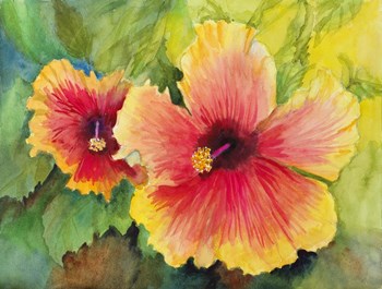Bright Colored Hibiscus by Joanne Porter art print