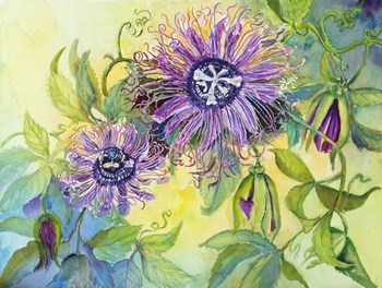 Lavender Passion Plant by Joanne Porter art print