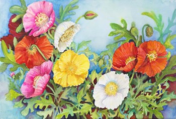Small Colorful Poppies by Joanne Porter art print