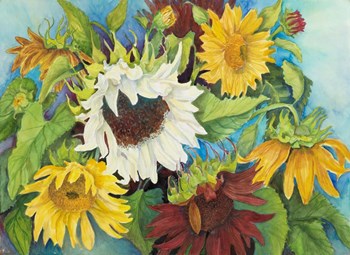A White Sunflower by Joanne Porter art print