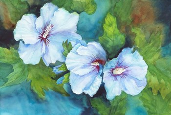 Hibiscus with Red Centers by Joanne Porter art print