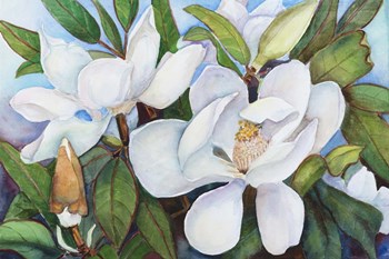 Magnolia with Blue Sky by Joanne Porter art print