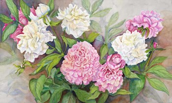 Peonies from a Friend by Joanne Porter art print