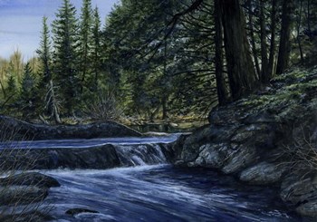 Sparkle Among the Fern by John Morrow art print