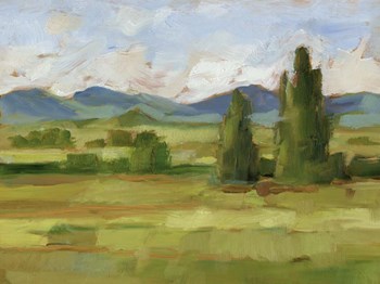 Tuscan Vista II by Ethan Harper art print