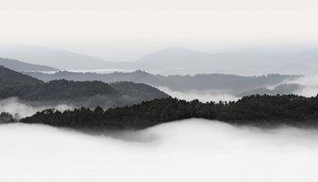 Rolling Fog, Smoky Mountains No. 2 by Nicholas Bell art print