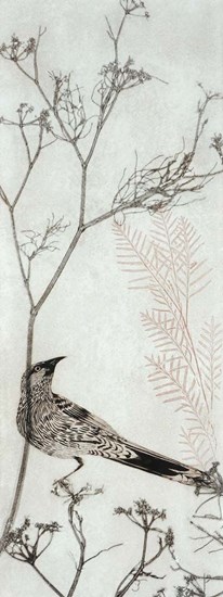 Wattlebird Resting on a Branch by Trudy Rice art print
