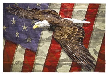 Eagle 2 by Old Red Truck art print