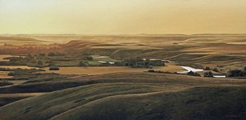 Golden Evening by Ron Parker art print