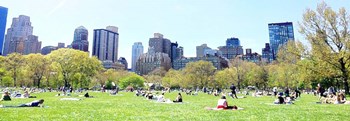 Central Park Picnic by Acosta art print